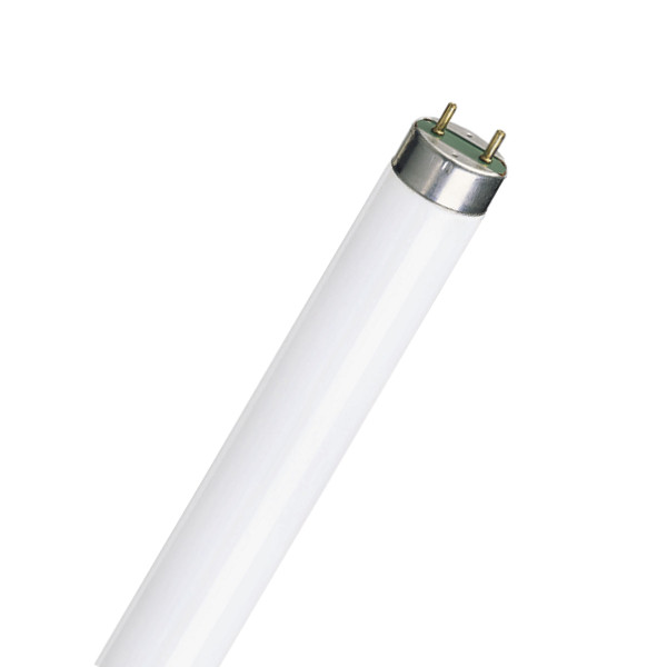 Лампа PHILIPS TL-D 18Вт 54-765 G13 люм. станд. цвета (C19862)