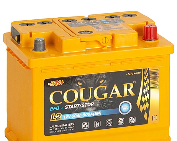 Авто аккумулятор COUGAR EFB START STOP L2  60Ач о.п.