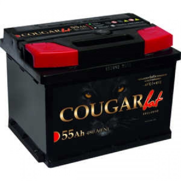 Авто аккумулятор COUGAR Energy 66 п.п. Са/Ca