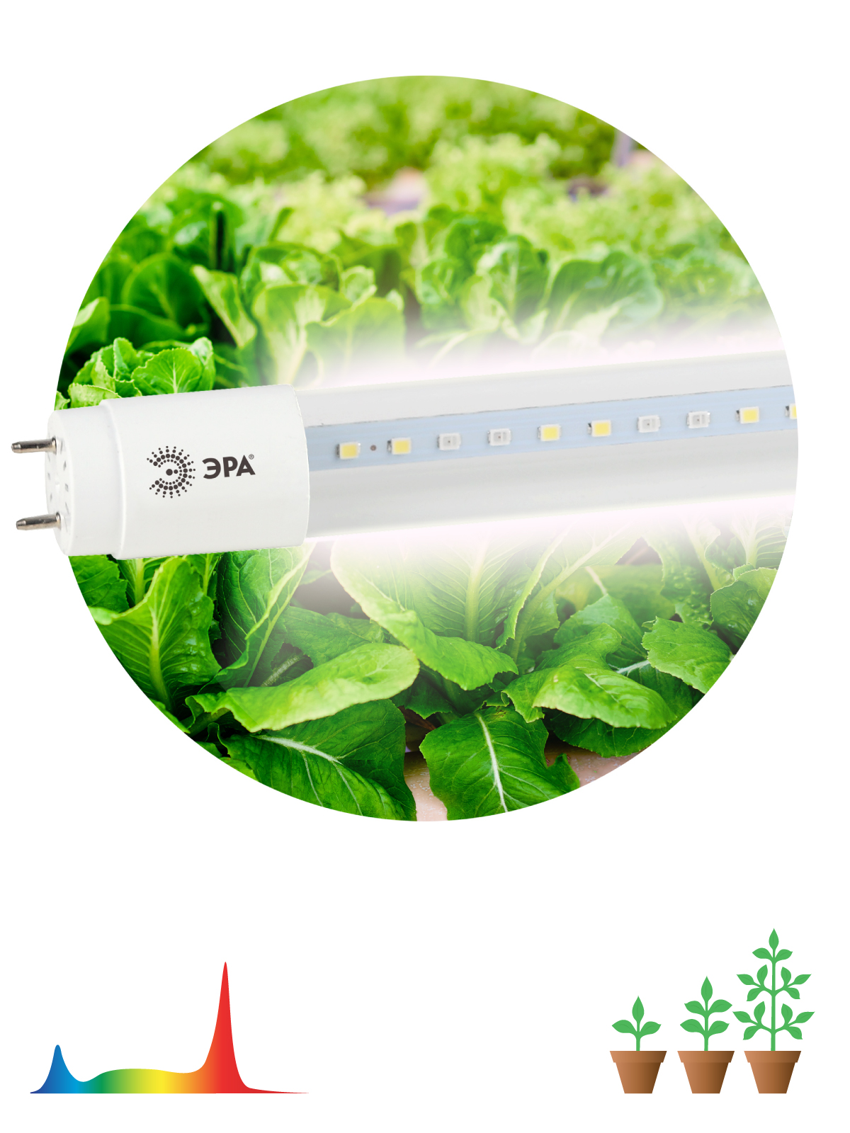 Лампа ЭРА FITO-18W-T8-RЕ90-G13-NL полн.спектра для растений (Б0042987)