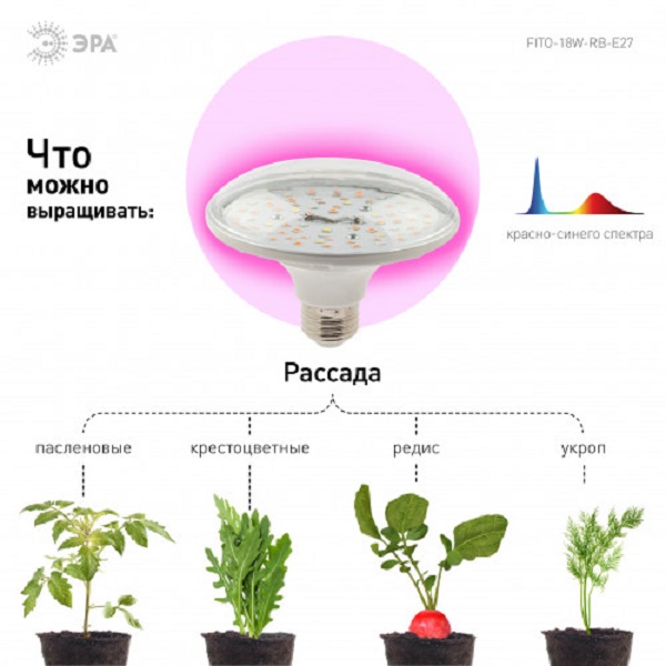 Лампа ЭРА FITO-18W-RB-E27 LED для растений красно-синего спектра (Б49533)